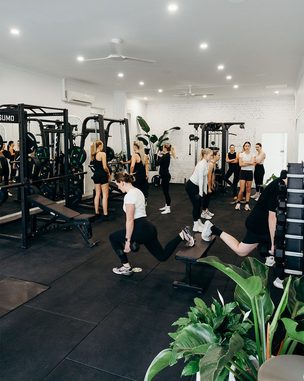 Lower Body